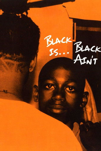 Watch Black Is… Black Ain’t 1995 poster