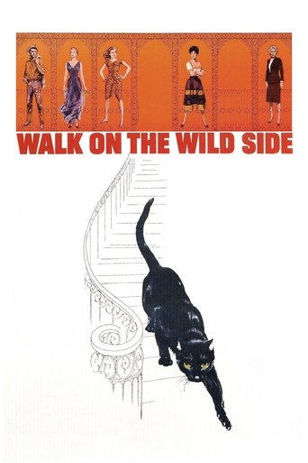 Watch Walk on the Wild Side 1962 poster