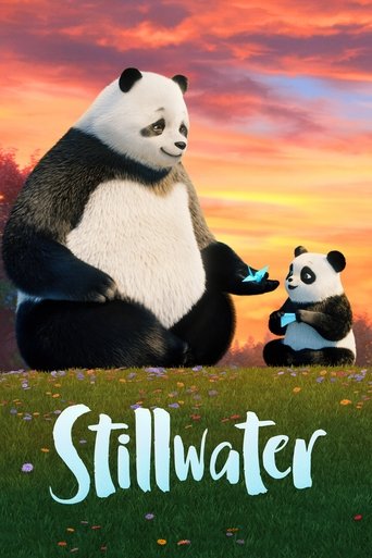 Stillwater 2020