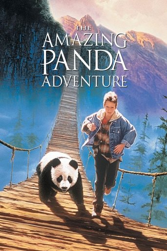 Watch The Amazing Panda Adventure 1995 poster