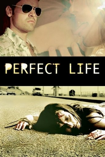 Watch Perfect Life 2010 poster