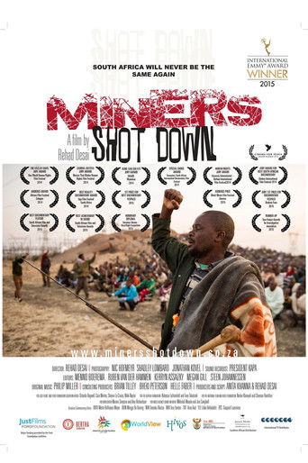 Watch Miners Shot Down 2014 poster