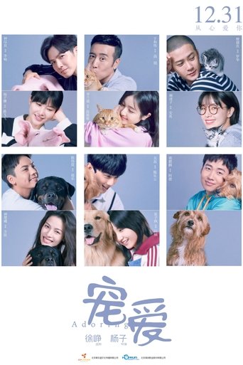 Watch Adoring 2019 poster