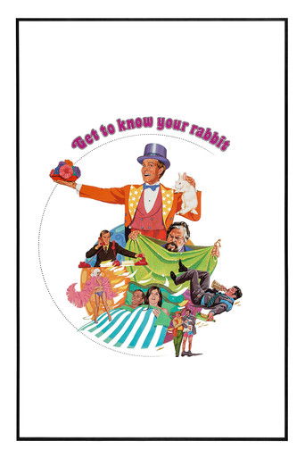 Watch Get to Know Your Rabbit 1972 poster