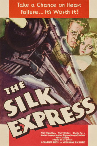 Watch The Silk Express 1933 poster