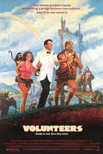 Watch Volunteers 1985 poster