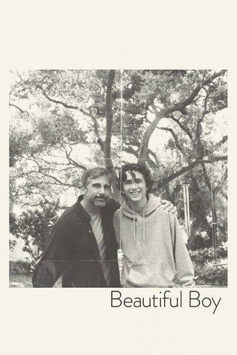 Watch Beautiful Boy 2018 poster