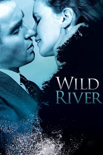 Watch Wild River 1960 poster