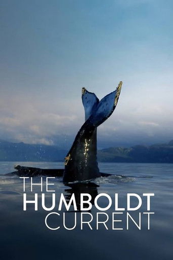 Watch The Humboldt Current 2021 poster