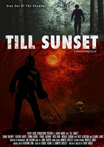 Watch Till Sunset 2012 poster