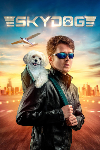 Watch Skydog 2020 poster