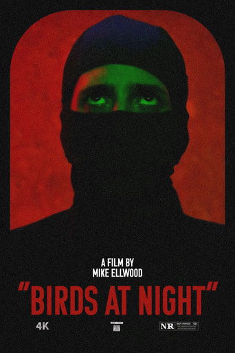 Watch Birds at Night 2024 poster
