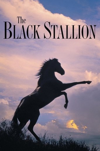 Watch The Black Stallion 1979 poster