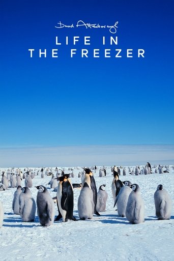 Watch Life in the Freezer 1993 poster