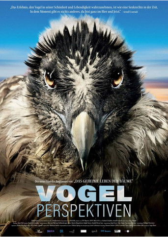 Watch Bird's Eyeview 2022 poster