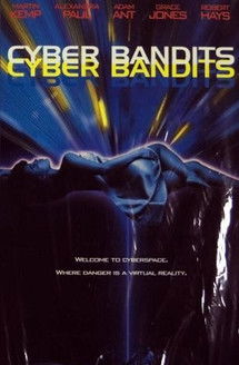 Watch Cyber Bandits 1995 poster
