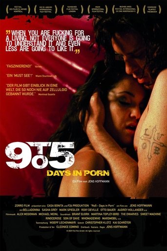 Watch 9to5: Days in Porn 2008 poster