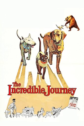 Watch The Incredible Journey 1963 poster