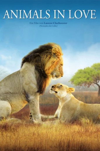Watch Animals in Love 2007 poster