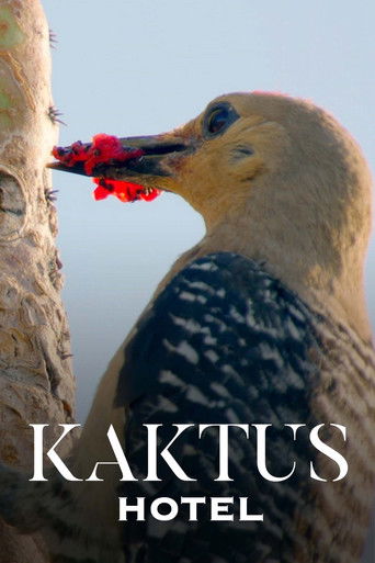 Watch Kaktus Hotel 2023 poster
