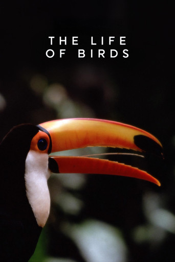 Watch The Life of Birds 1998 poster