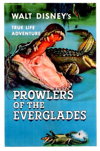 Watch Prowlers of the Everglades 1953 poster