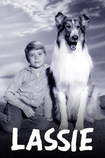 Watch Lassie 1954 poster
