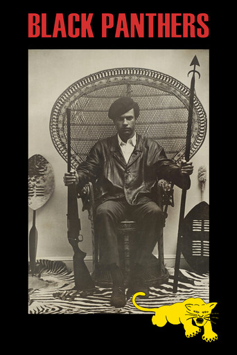 Watch Black Panthers 1968 poster