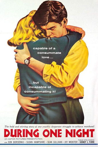 Watch During One Night 1961 poster