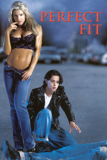 Watch Perfect Fit 2001 poster