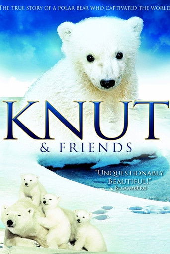 Watch Knut & Friends 2008 poster