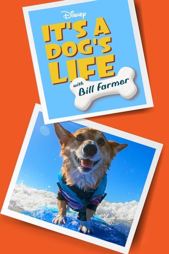 Watch It's a Dog's Life With Bill Farmer 2020 poster