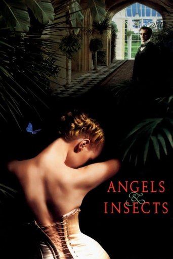 Watch Angels and Insects 1995 poster