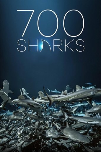 Watch 700 Sharks 2018 poster
