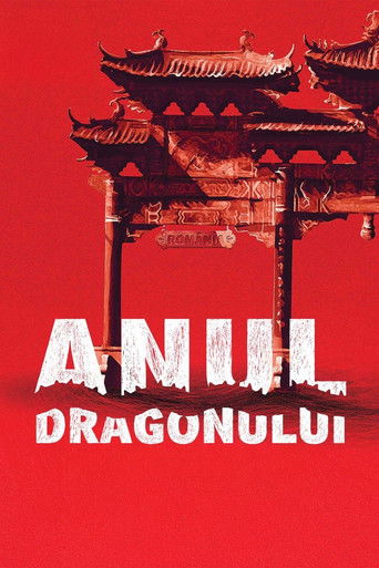 Bucharest - Year of the Dragon 2013