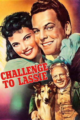Watch Challenge to Lassie 1949 poster