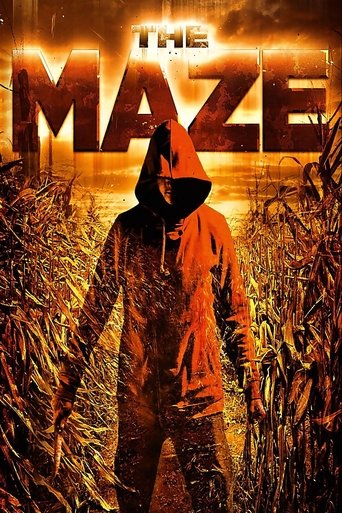 Watch The Maze 2010 poster
