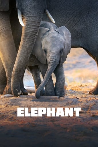 Watch Elephant 2020 poster
