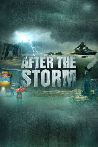 Watch After the Storm 2022 poster