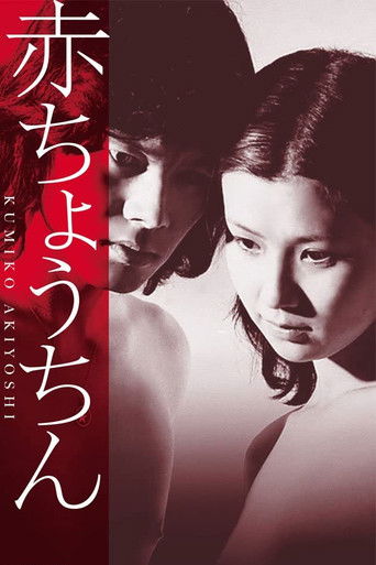 Watch Red Paper Lantern 1974 poster