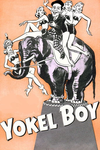Watch Yokel Boy 1942 poster