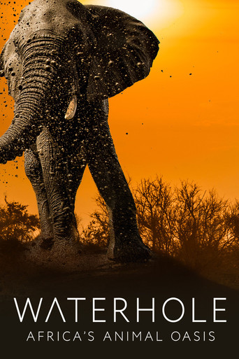 Watch Waterhole: Africa's Animal Oasis 2020 poster