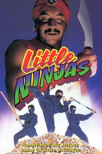 Watch Little Ninjas 1993 poster