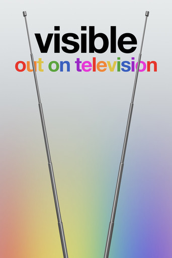 Watch Visible: Out on Television 2020 poster