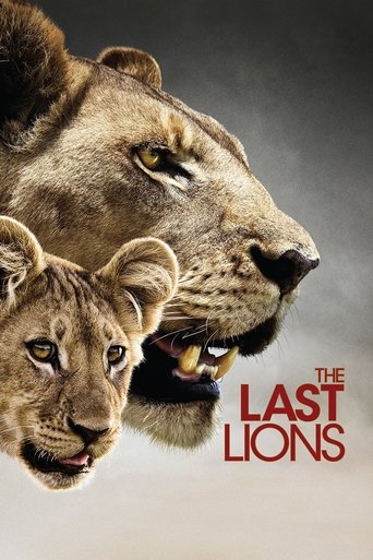 Watch The Last Lions 2011 poster