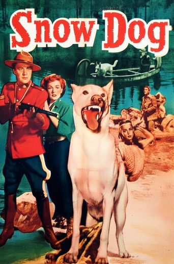 Watch Snow Dog 1950 poster