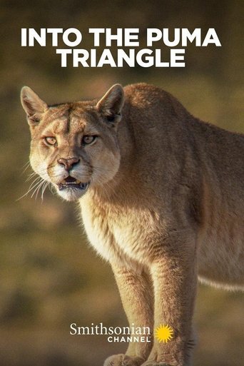 Watch Into the Puma Triangle 2020 poster