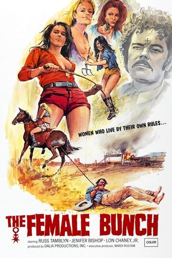 Watch The Female Bunch 1971 poster