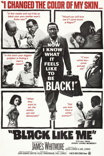 Watch Black Like Me 1964 poster