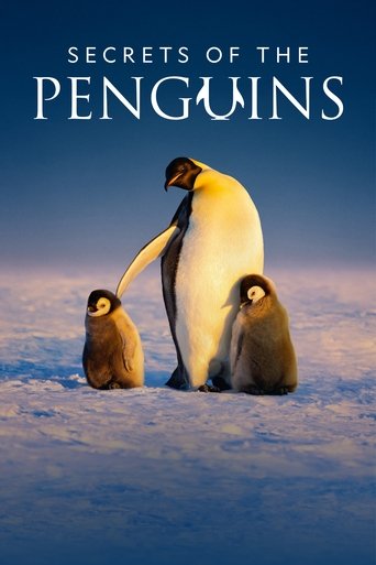 Watch Secrets of the Penguins 2025 poster